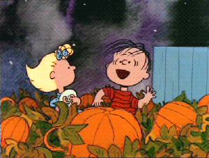Não falei que tô apaixonado por ela, simplesmente disse que gosto muito do chão que ela pisa - Linus Peanuts
